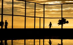 featured-image-1775869209